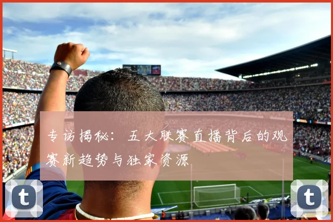 专访揭秘:五大联赛直播背后的观赛新趋势与独家资源